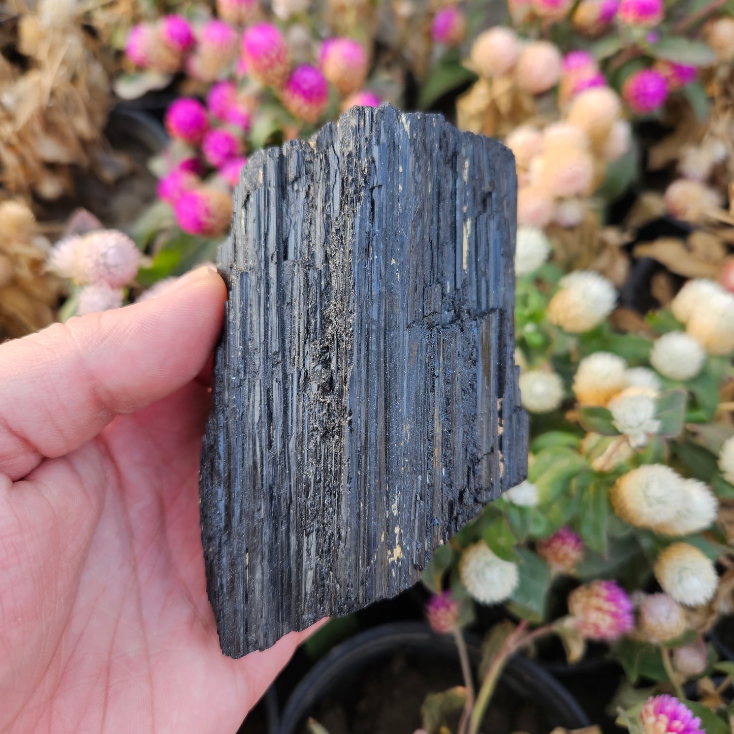Black Tourmaline Raw 543g