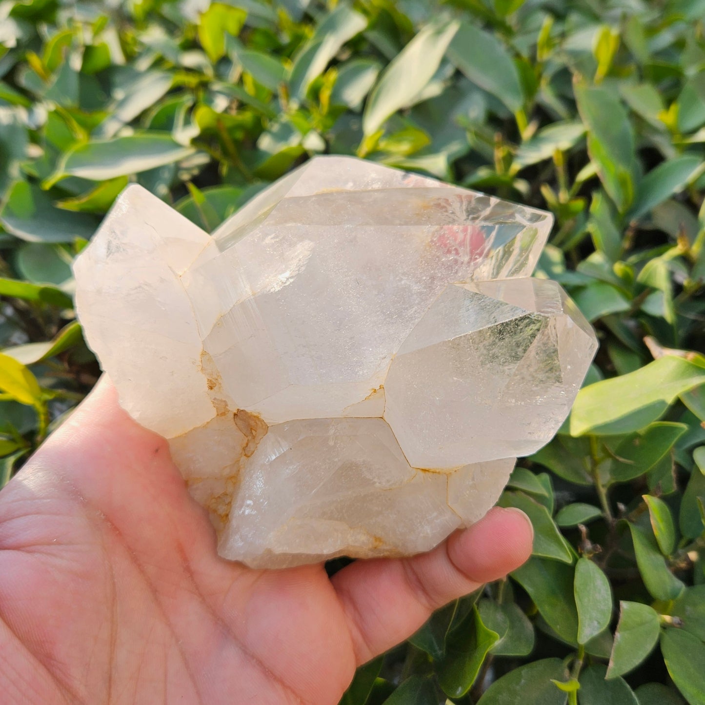 Himalayan Quartz Raw Cluster 460g