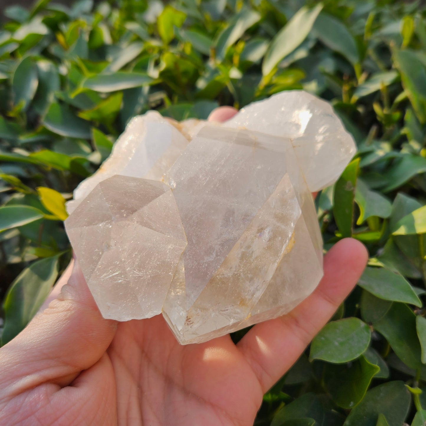 Himalayan Quartz Raw Cluster 460g