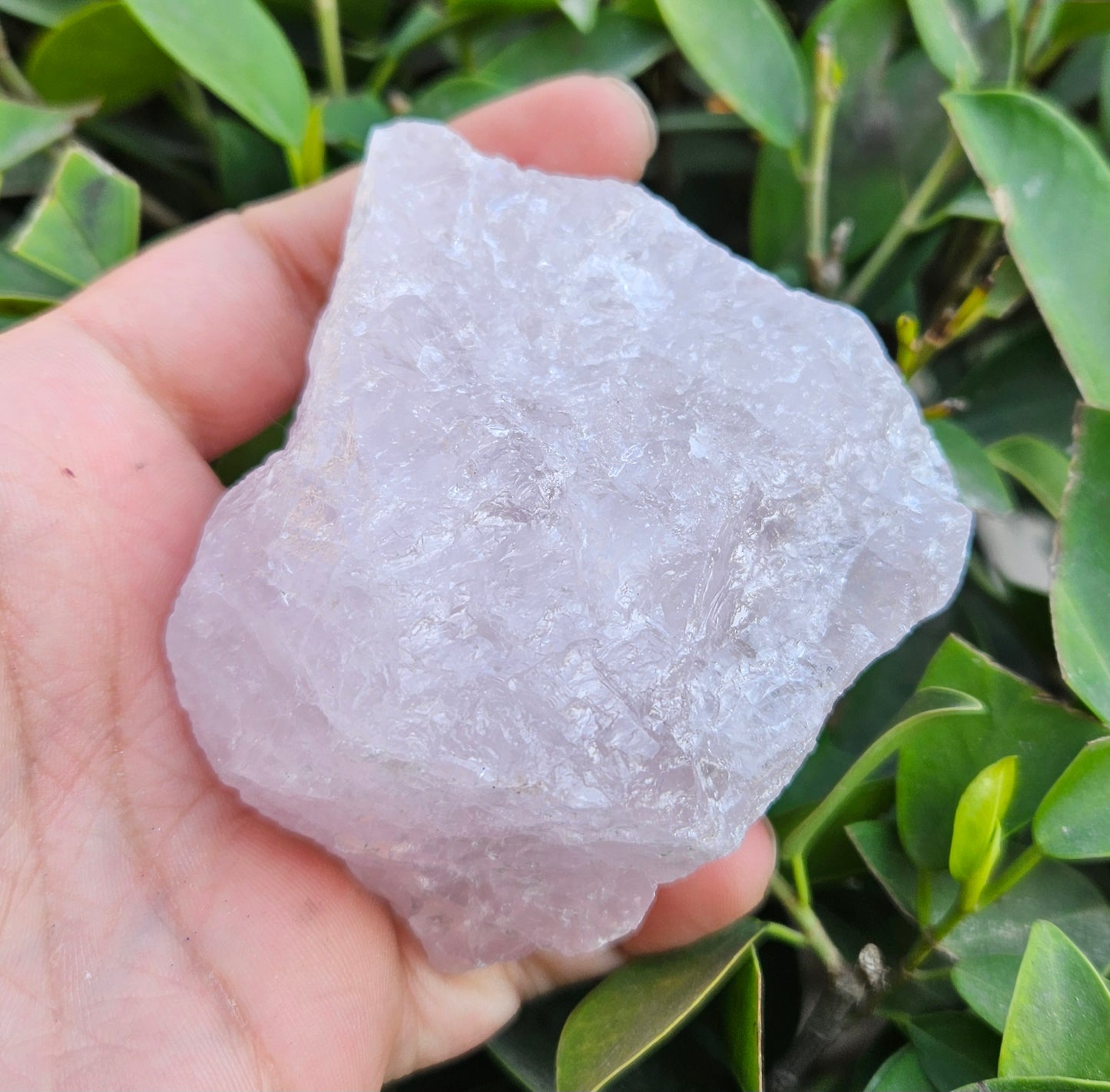Rose Quartz Raw 284g