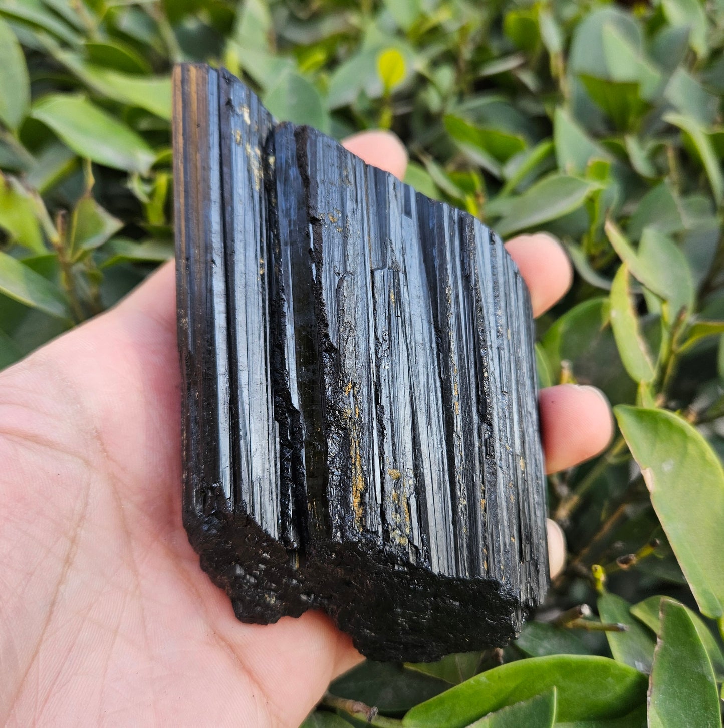 Black Tourmaline Raw 447g
