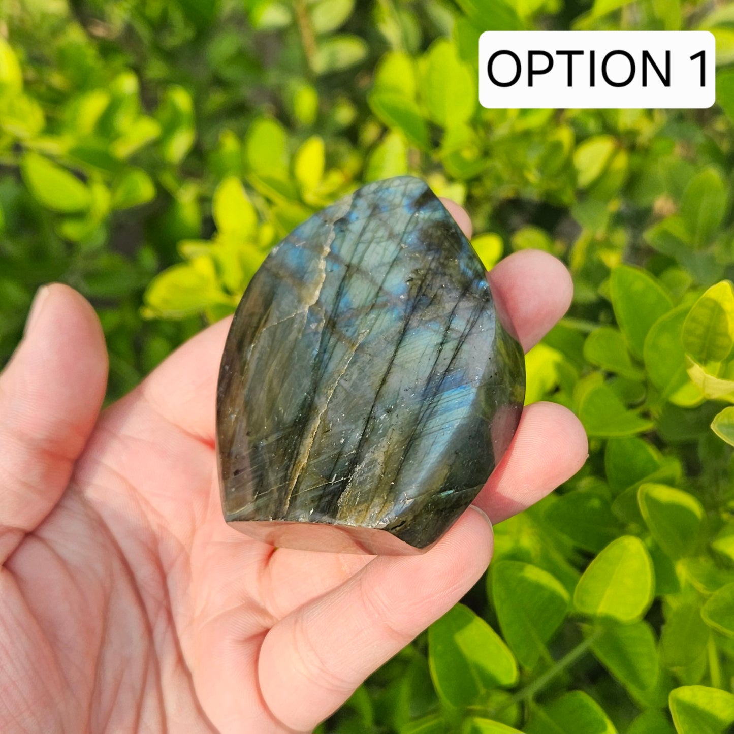Labradorite Flashy Freeform