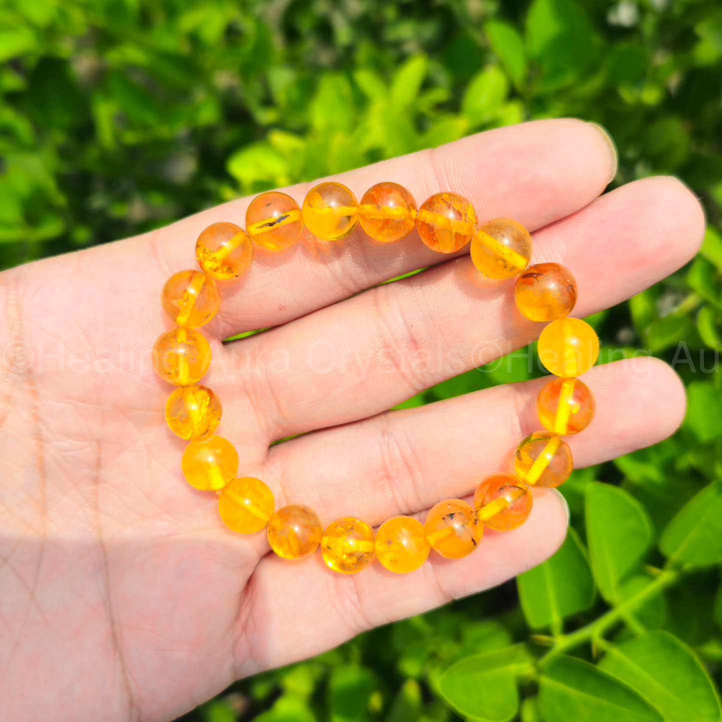 Amber Bracelet - Natural (8mm)