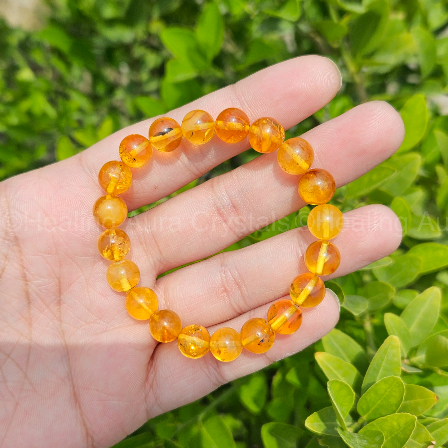 Amber Bracelet - Natural (8mm)