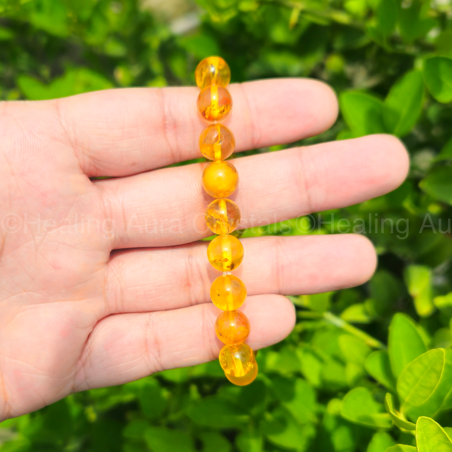 Natural Amber Bracelet (8mm)