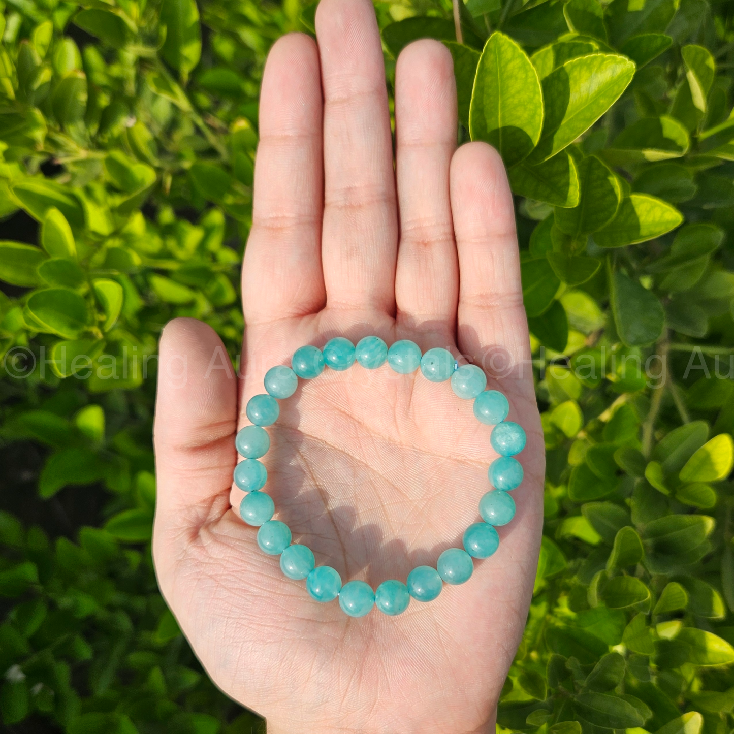 Amazonite Bracelet - Star Quality (8mm)