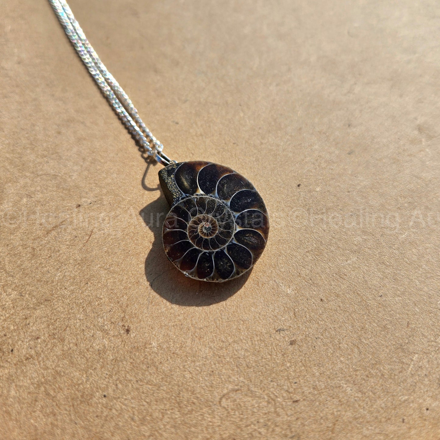 Ammonite Pendant