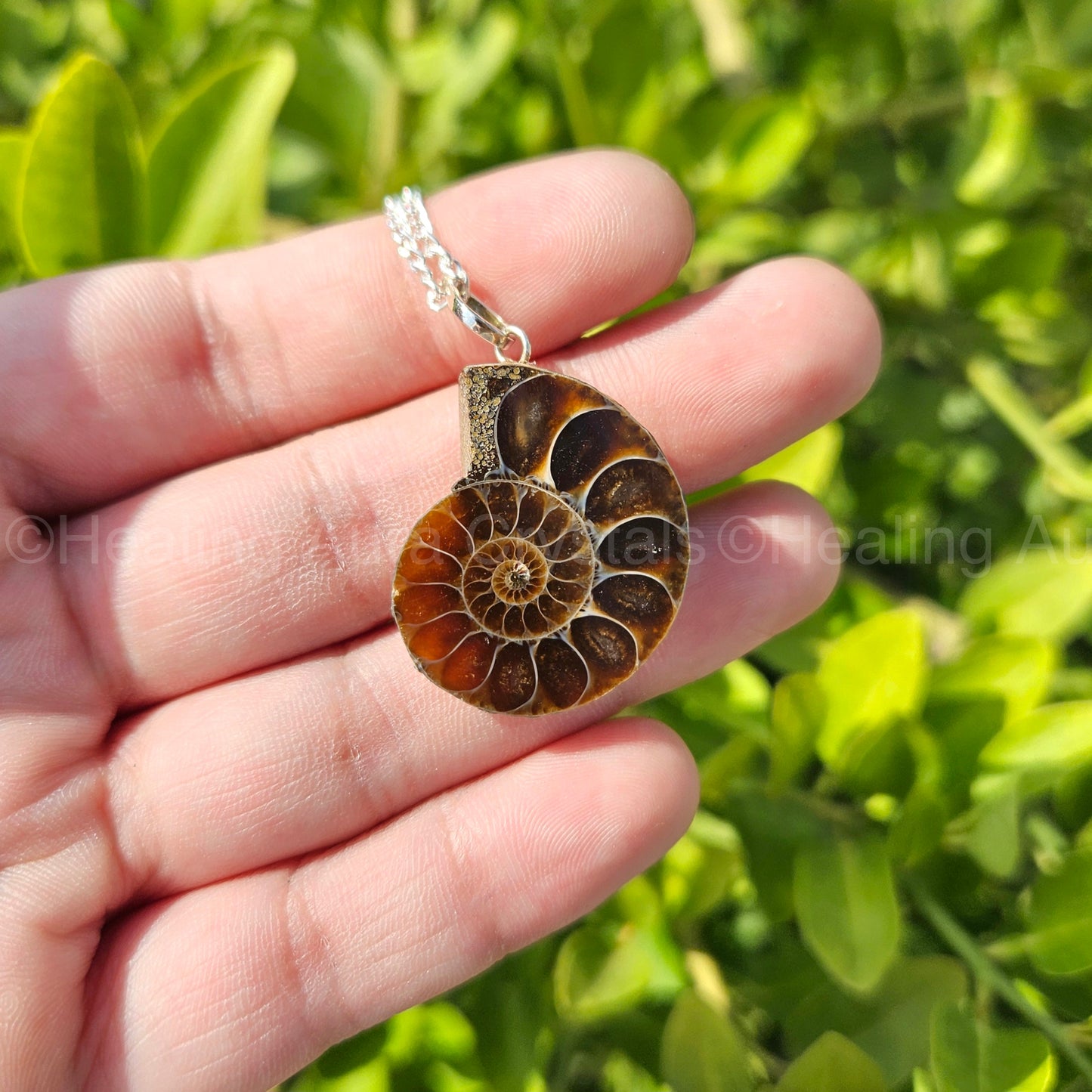 Ammonite Pendant