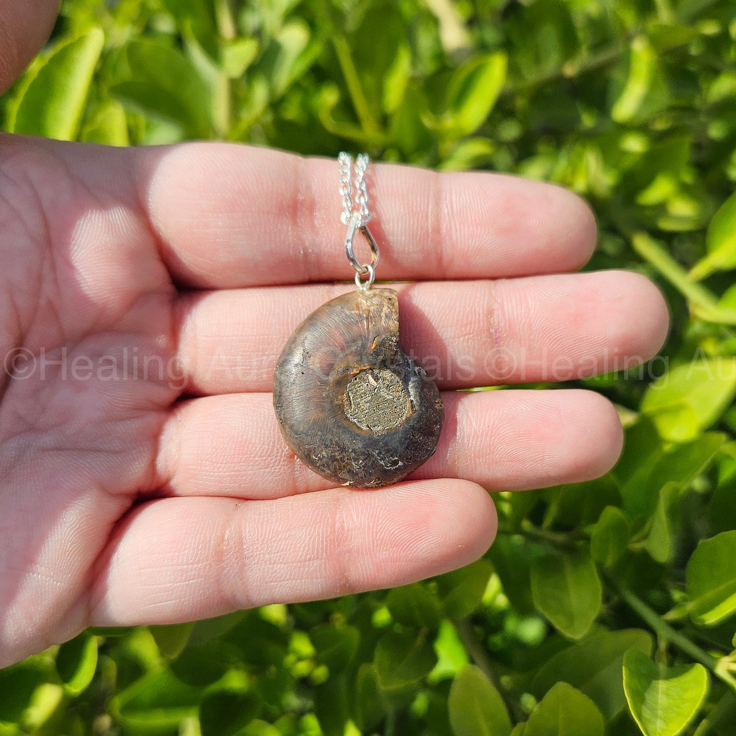 Ammonite Pendant