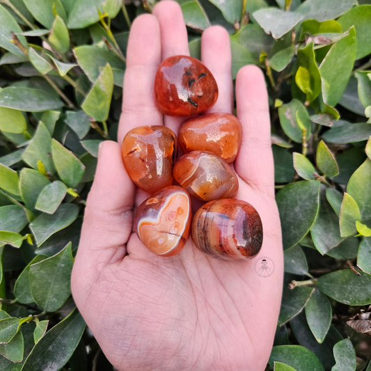 Carnelian Tumble