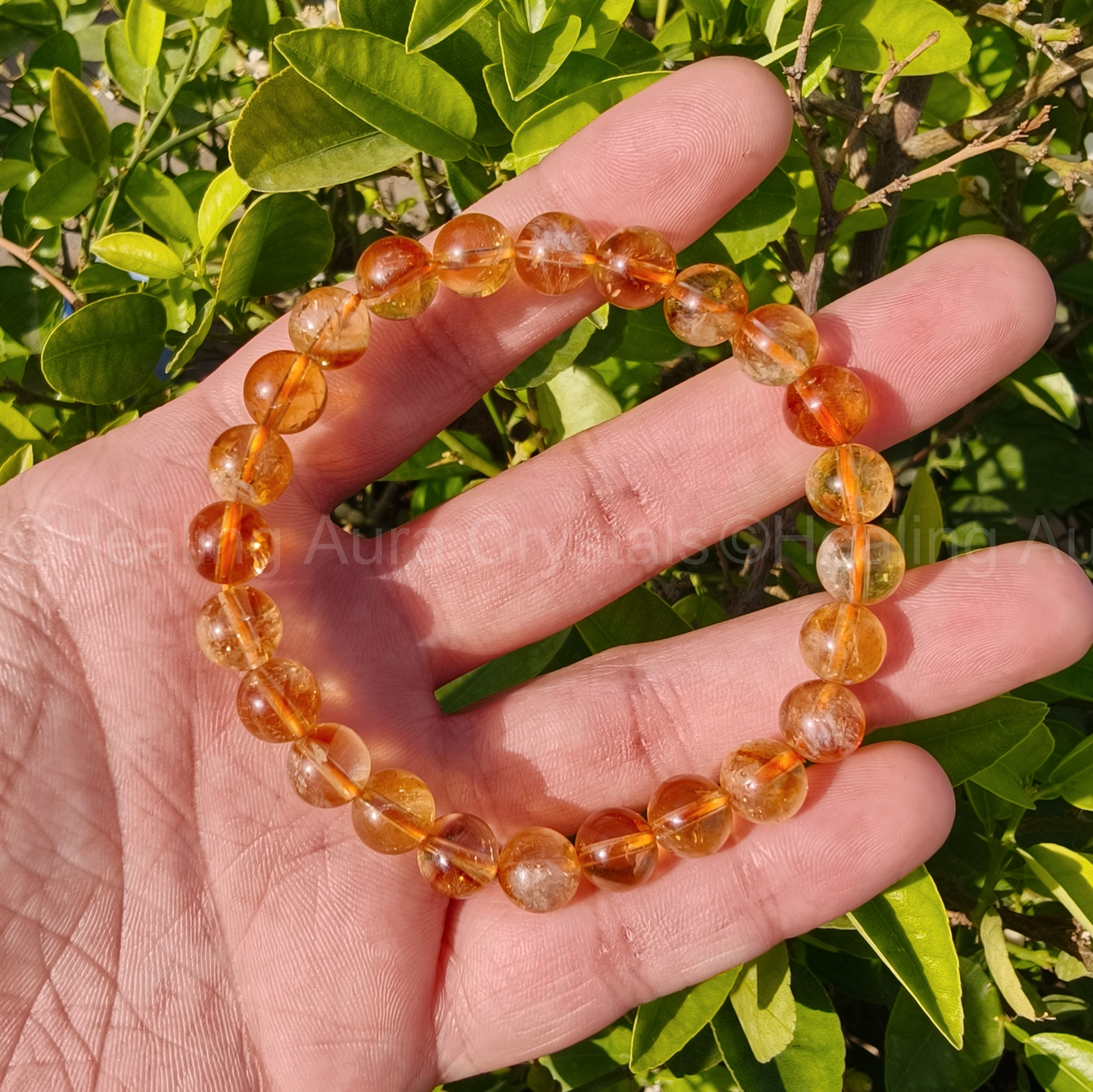 Citrine Bracelet - AAA Quality (8mm)