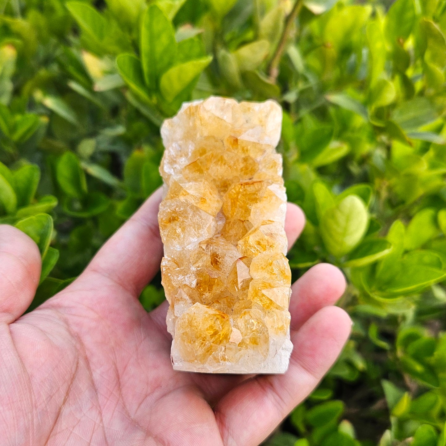 Citrine Raw Cluster 333g- Premium Quality