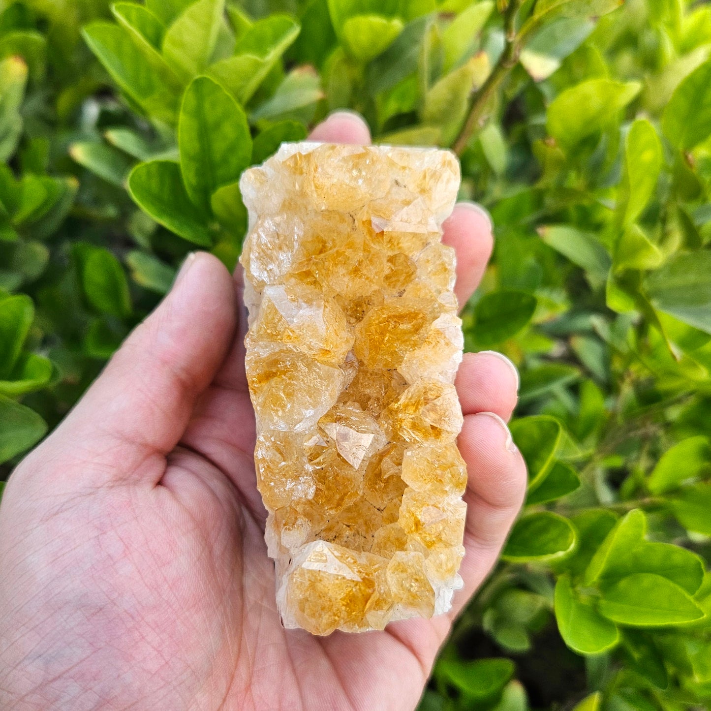 Citrine Raw Cluster 333g- Premium Quality