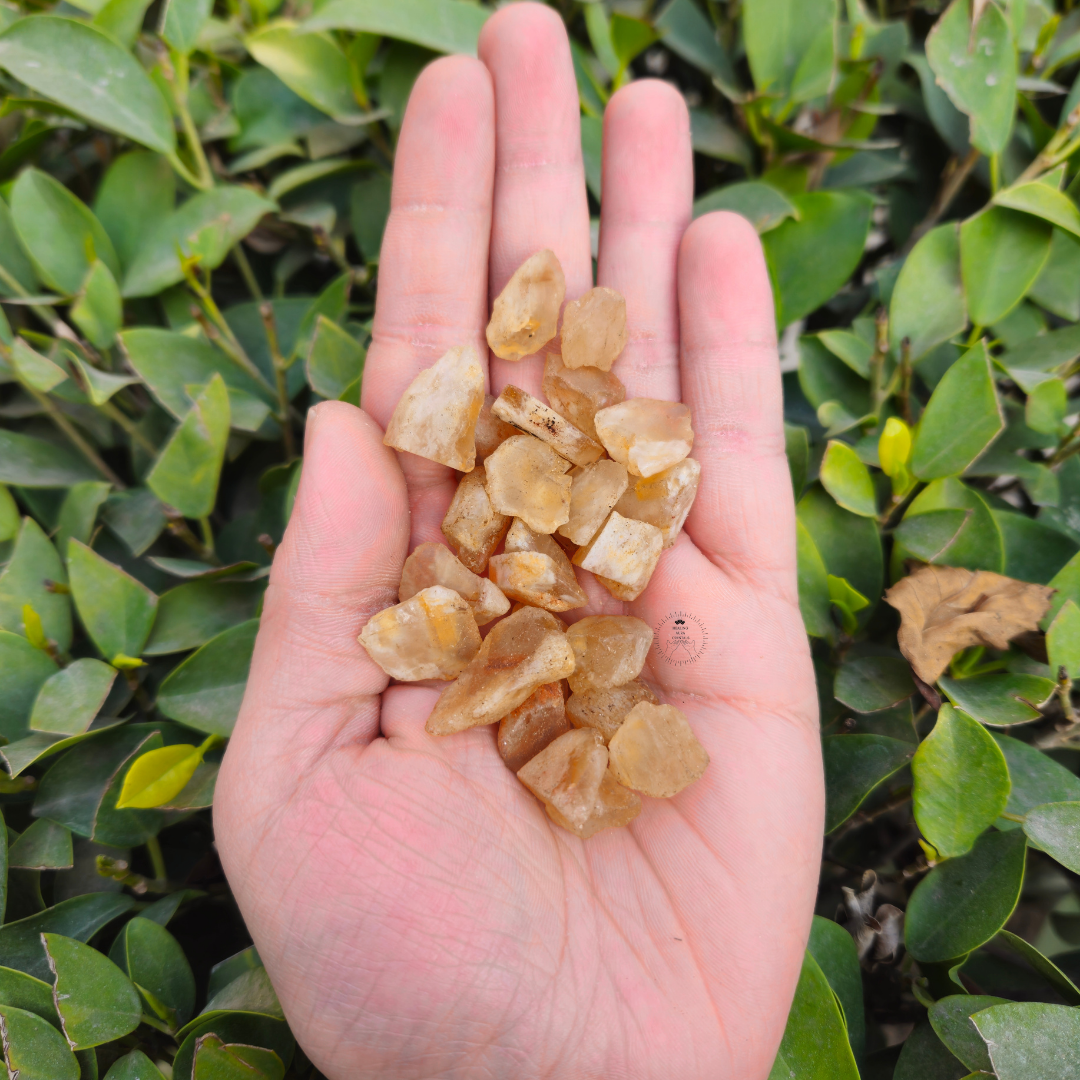 Citrine Raw Chips- Large
