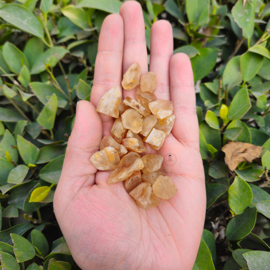 Citrine Raw Chips- Large