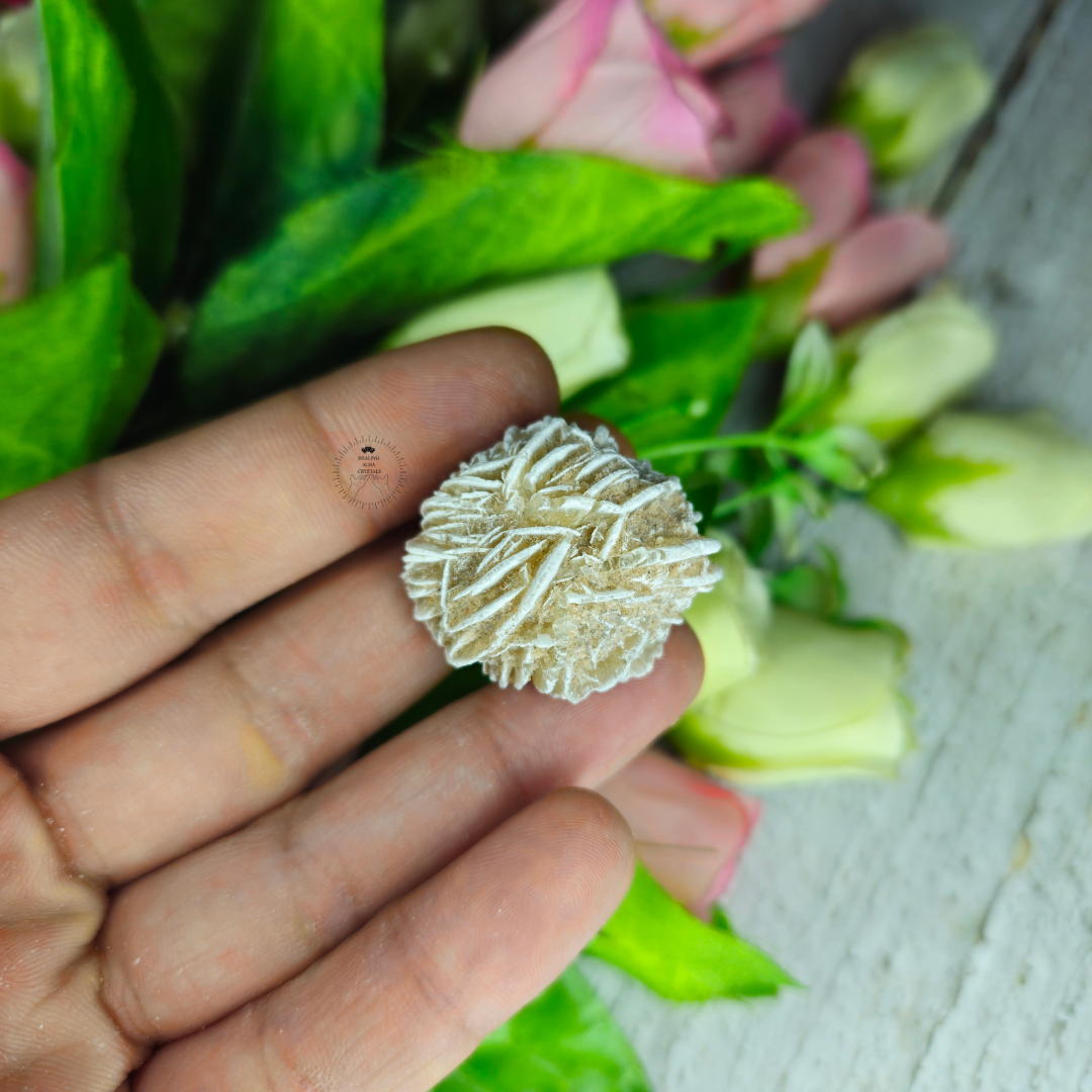 Desert Rose Selenite Raw Mini