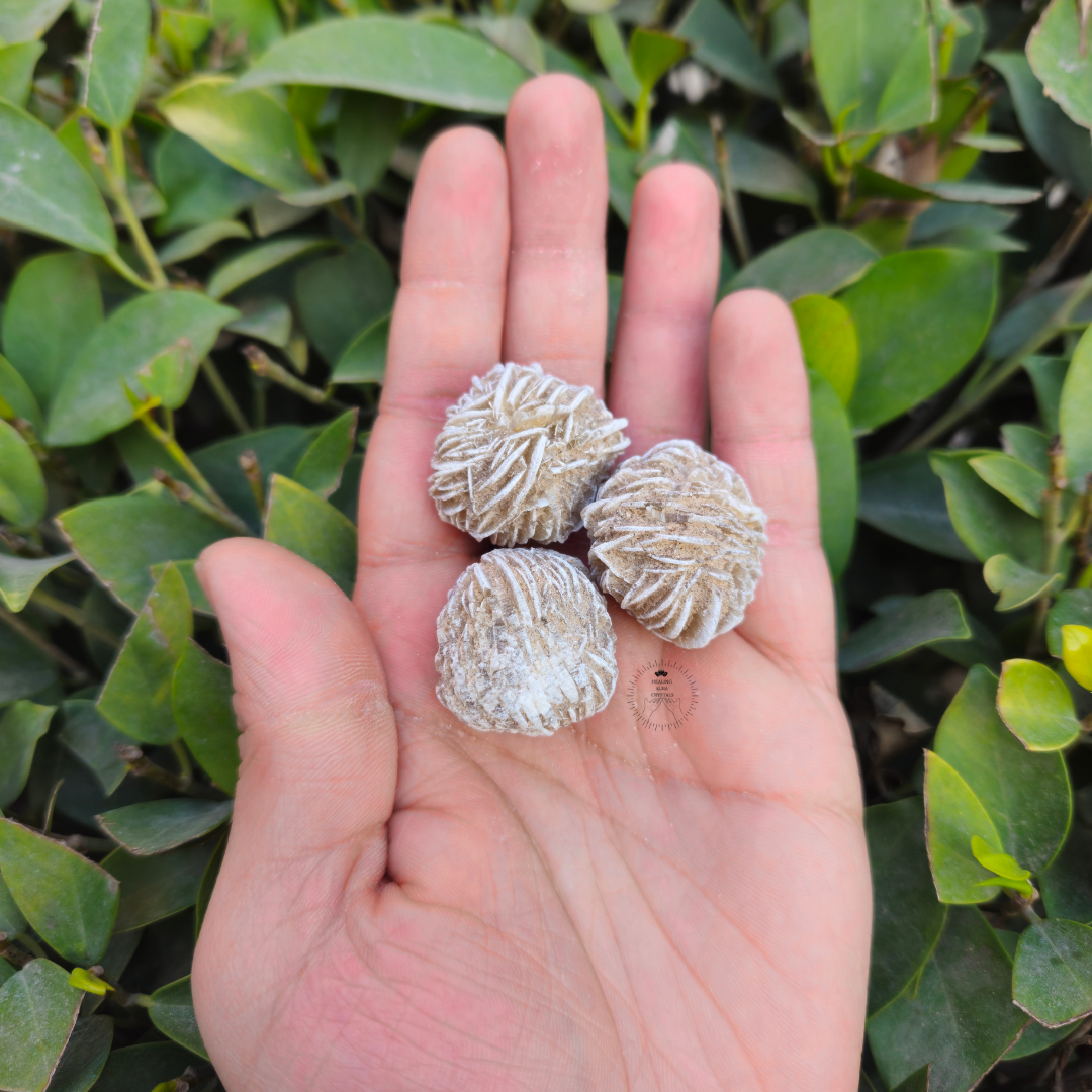 Desert Rose Selenite Raw Mini