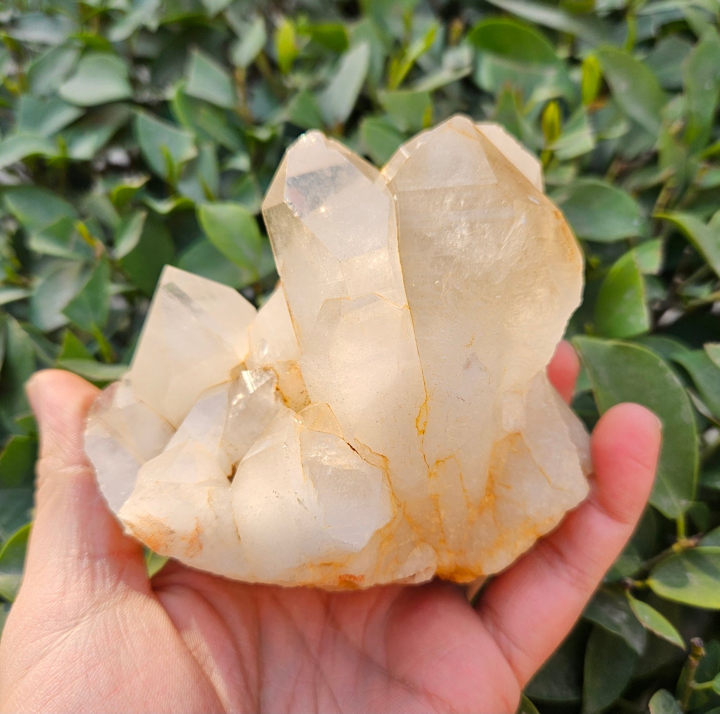 Himalayan Quartz Raw Cluster 687g