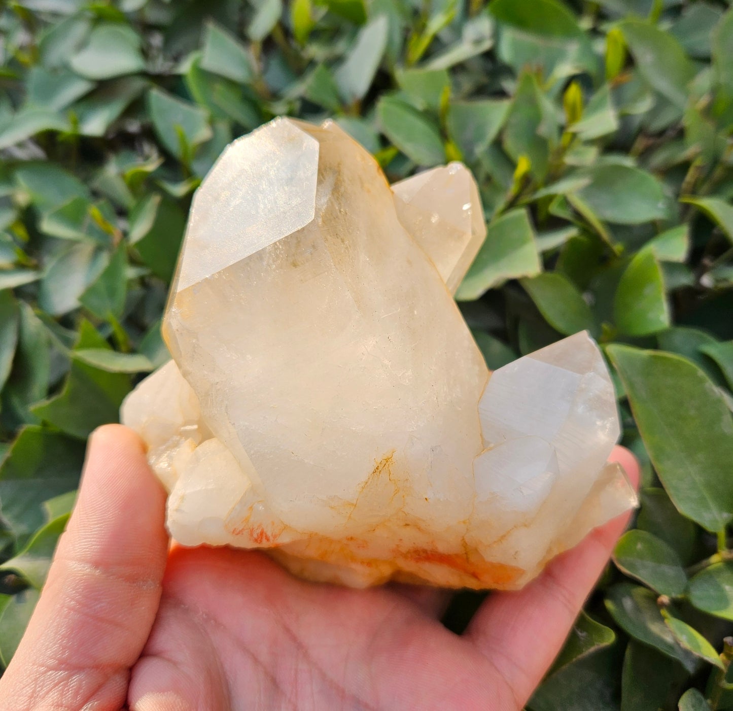 Himalayan Quartz Raw Cluster 687g