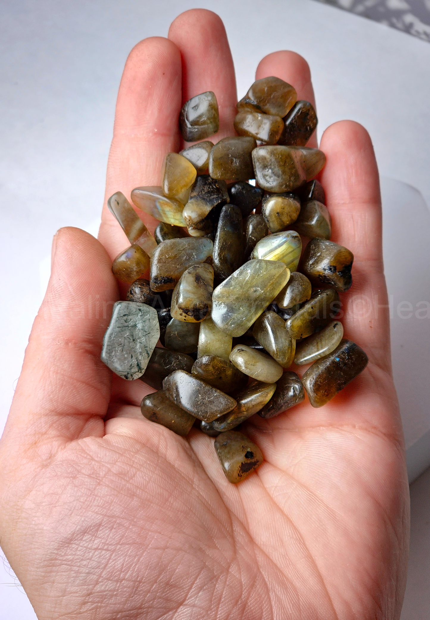 Labradorite Chips