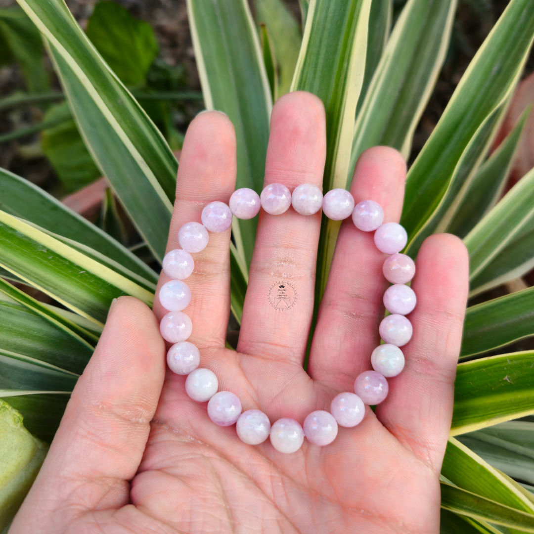 Kunzite Bracelet (8mm)
