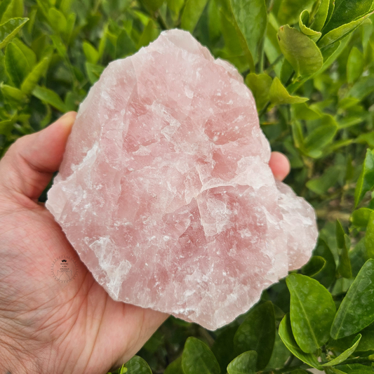 Rose Quartz Raw 847g- Premium Quality