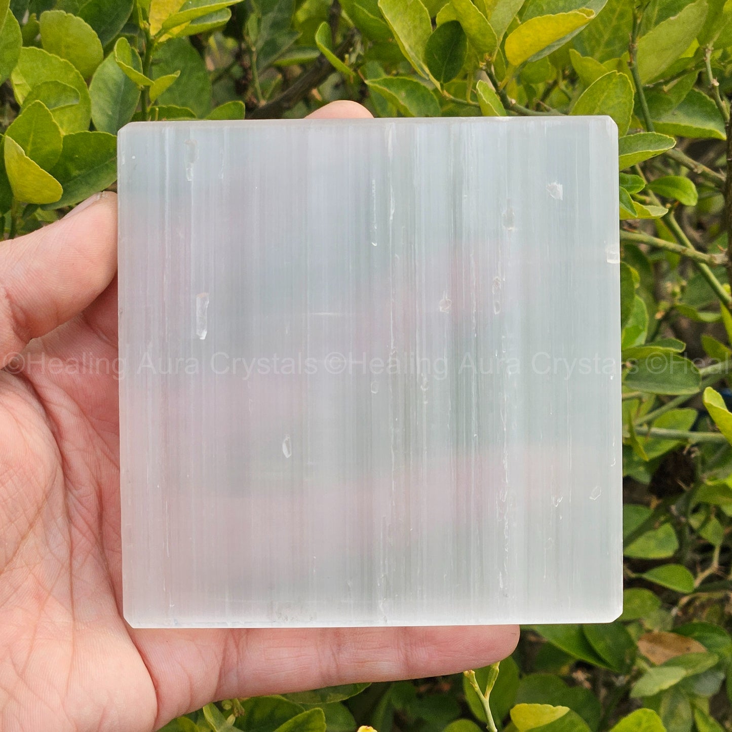 Selenite Charging Plate Medium 4 inches (Square)