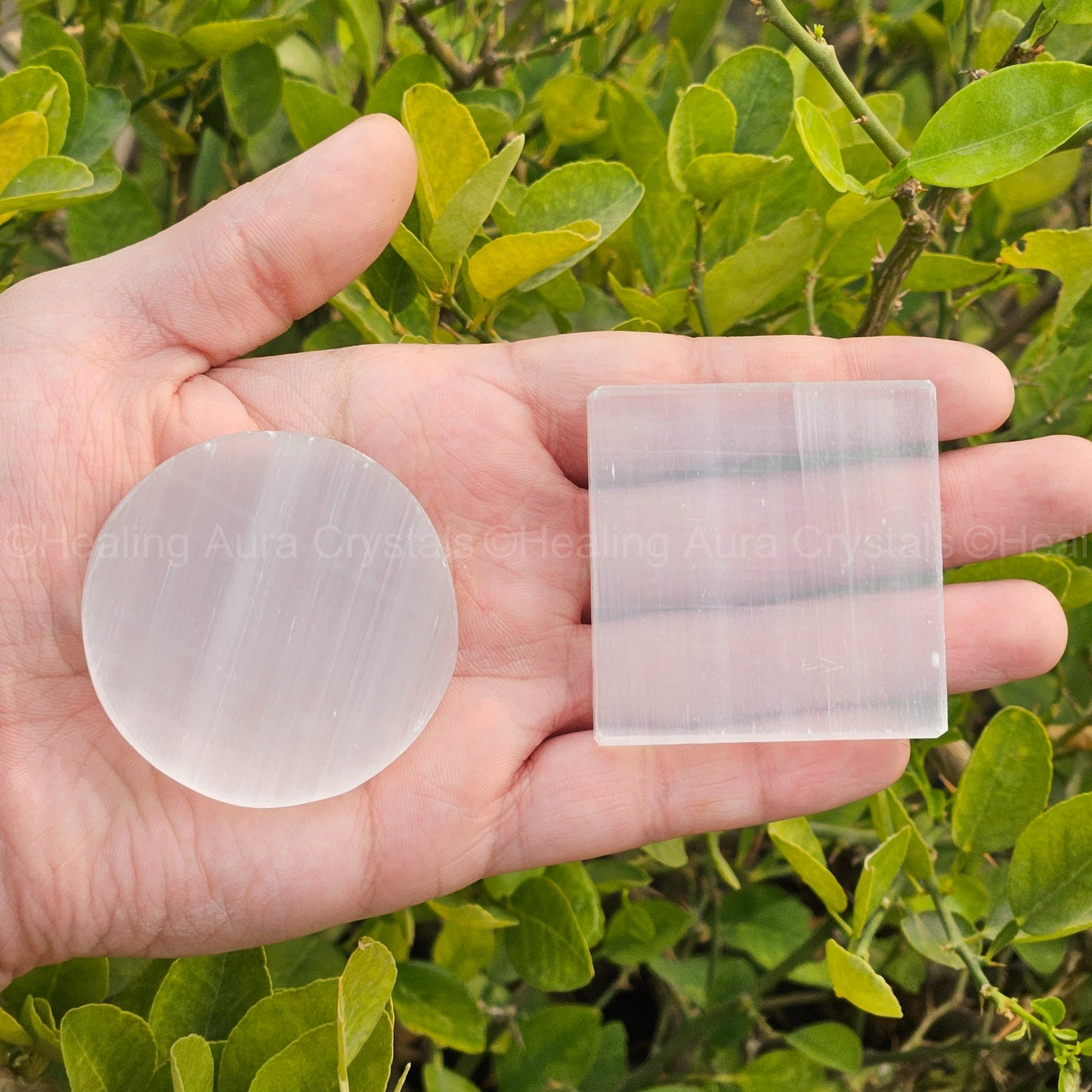 Selenite Charging Plate Small 2 inches