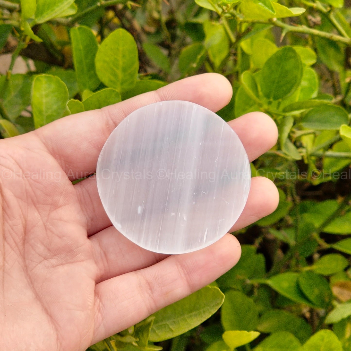 Selenite Charging Plate Small 2 inches