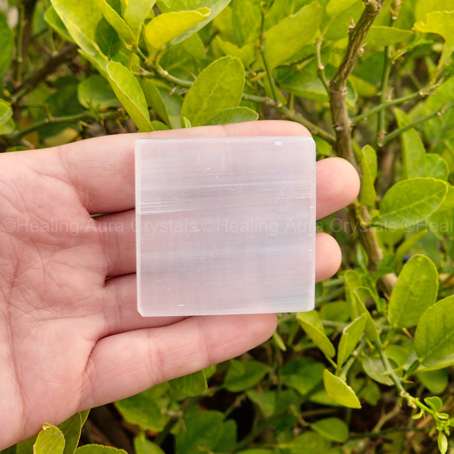 Selenite Charging Plate Small 2 inches