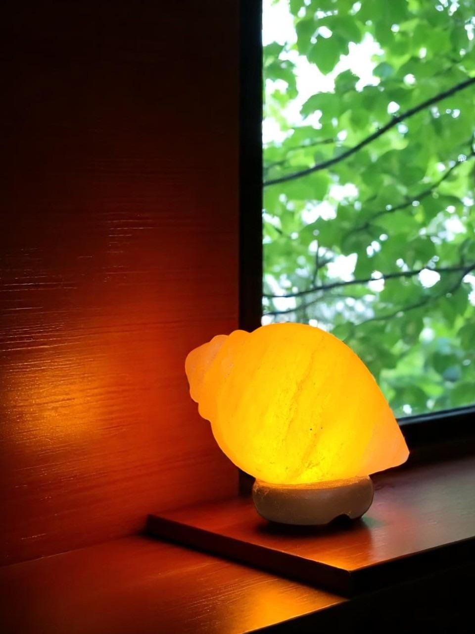 Shankh Shaped Himalayan Rock Salt Crafted Lamp – Conch Shell Salt Lamp