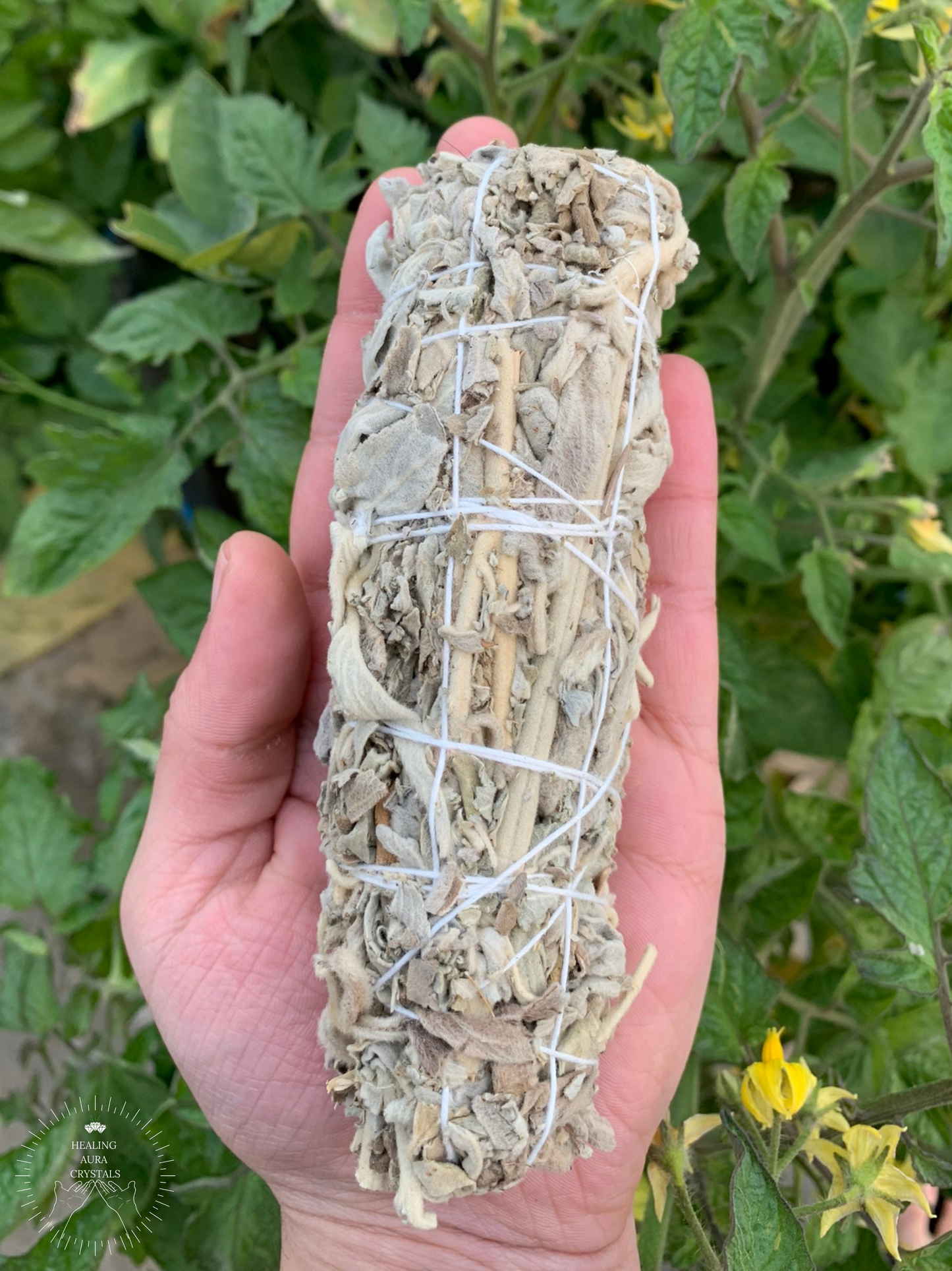 Indian Sage Smudge Stick
