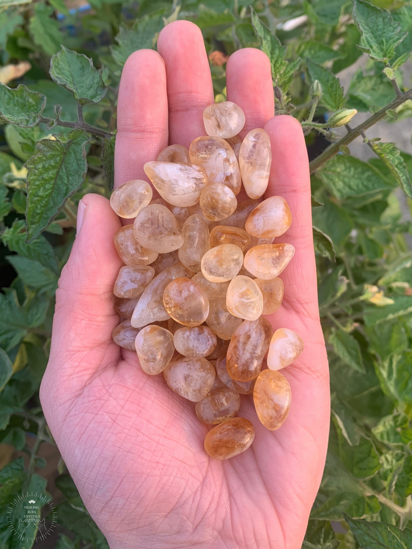 Citrine Tumbled Chips