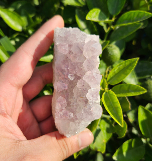 Amethyst cluster 205g