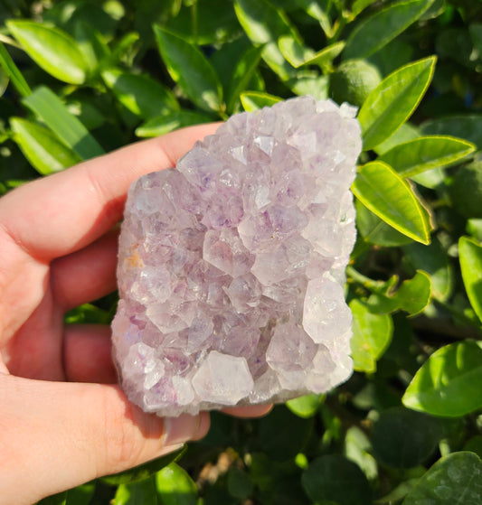 Amethyst cluster 248g