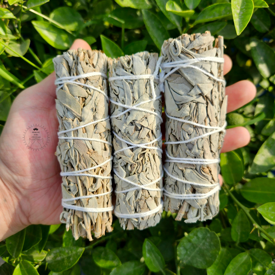 California White Sage