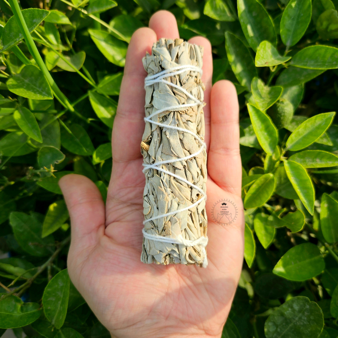 California White Sage