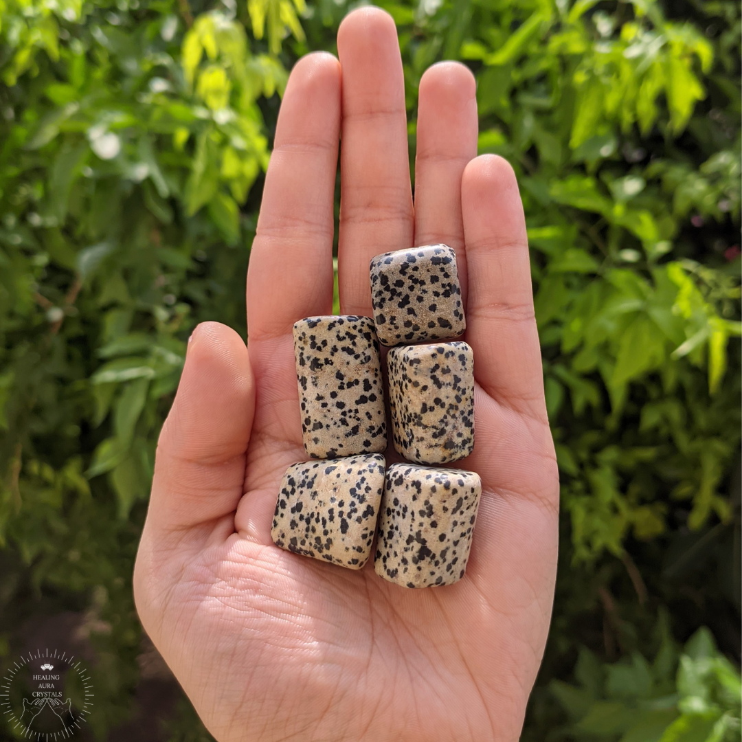 Dalmatian Jasper Tumble