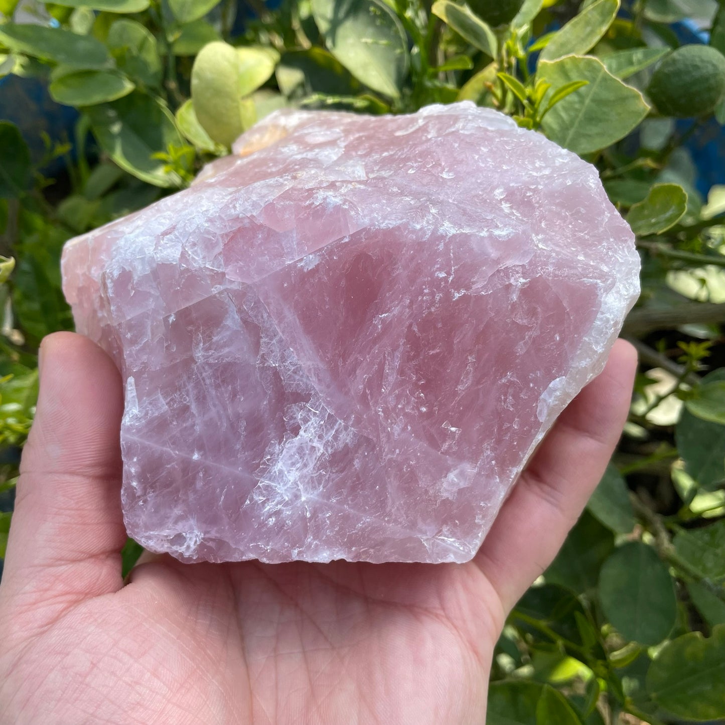 Rose Quartz Raw 1481g - Premium Quality
