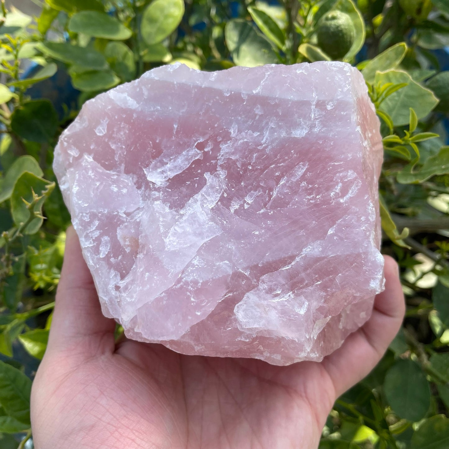 Rose Quartz Raw 1481g - Premium Quality