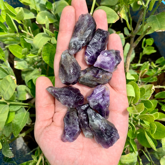 Amethyst Raw Mini Points 15g- Set of 2 pcs