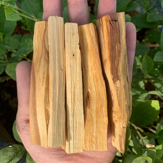 Palo Santo Wood Premium Sticks