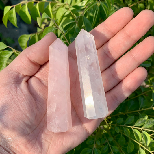 Shiv Shakti Towers Pair