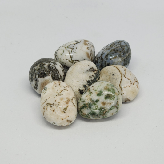 Tree Agate Tumble