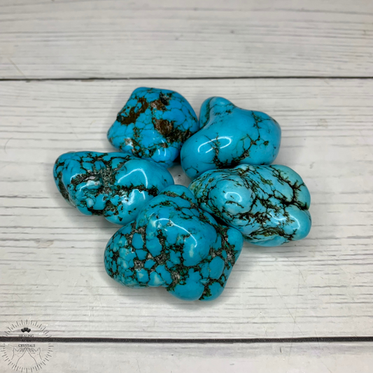 Turquoise Tumble (Blue Magnesite Dyed)
