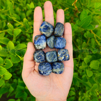 Sodalite Tumble