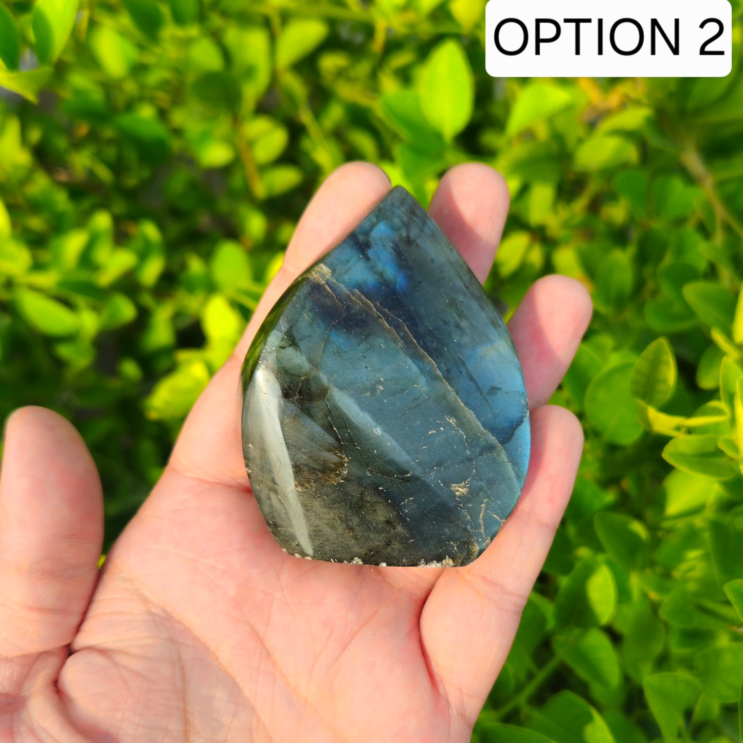 Labradorite Flashy Freeform