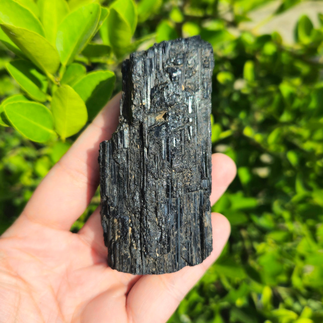 Black Tourmaline Raw 217g