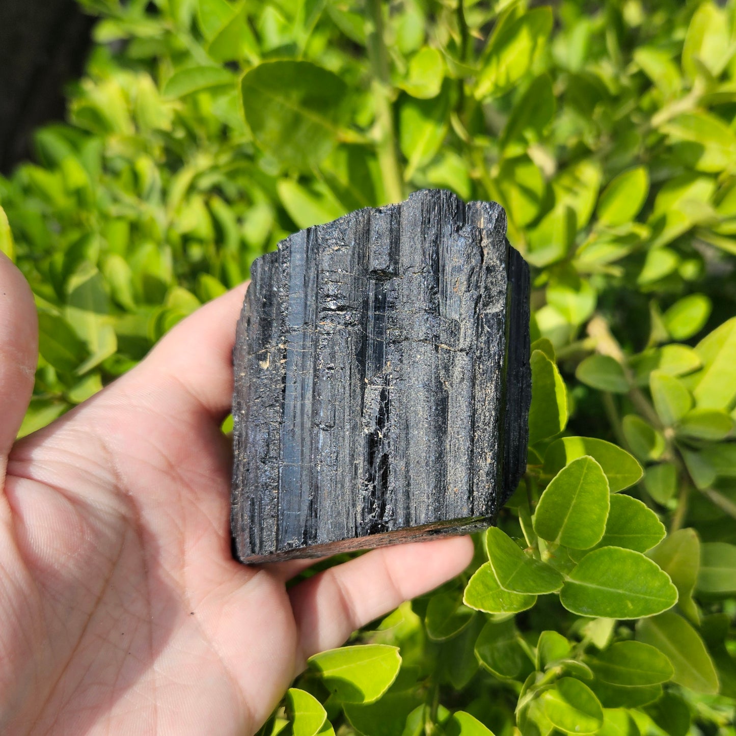 Black Tourmaline Raw 497g