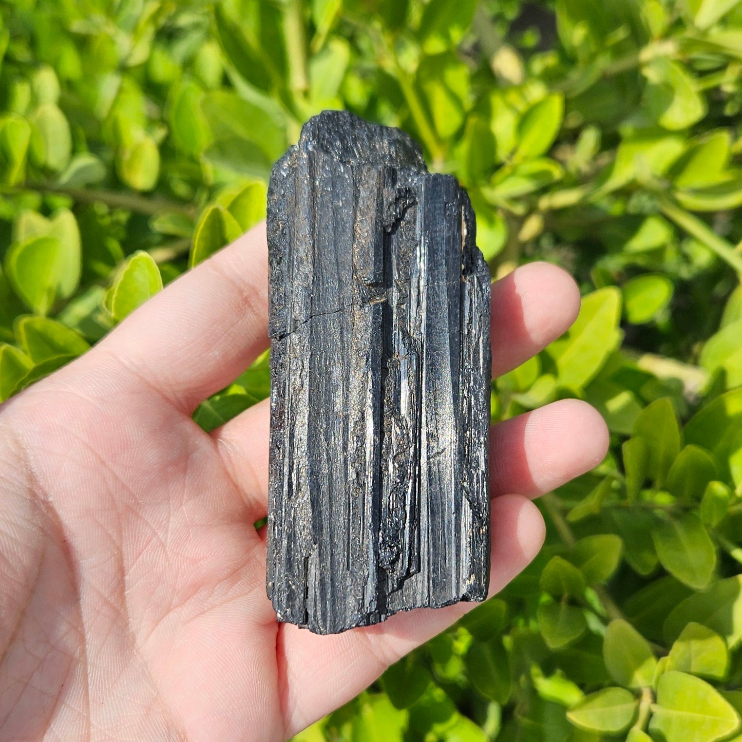 Black Tourmaline Raw 208g